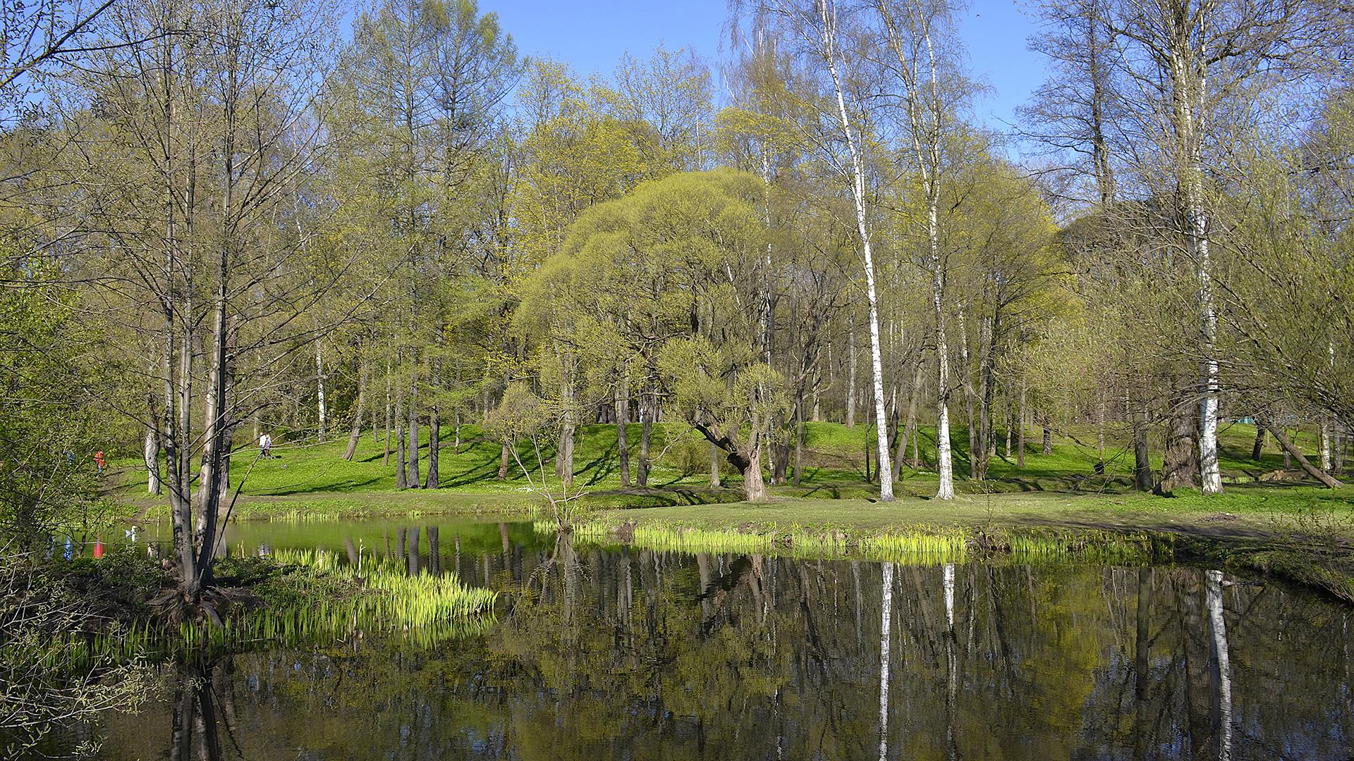 Фото: wikimedia.org Александровы АГ; CC BY-SA 4.0