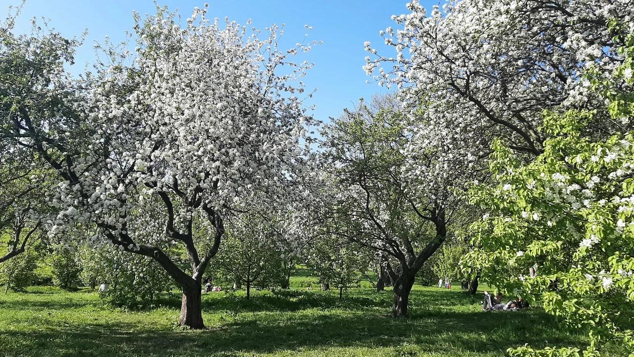 Фото: yandex.ru maps Мария Иркитова