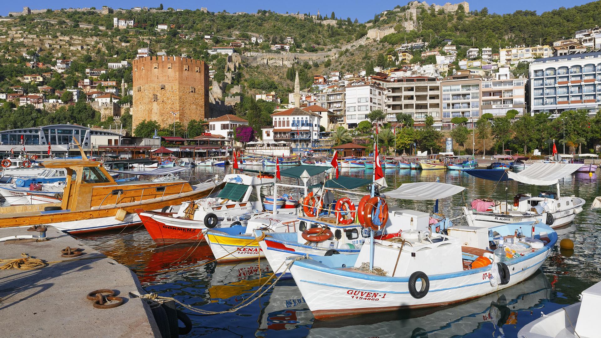 Фото: Martin Siepmann globallookpress.com