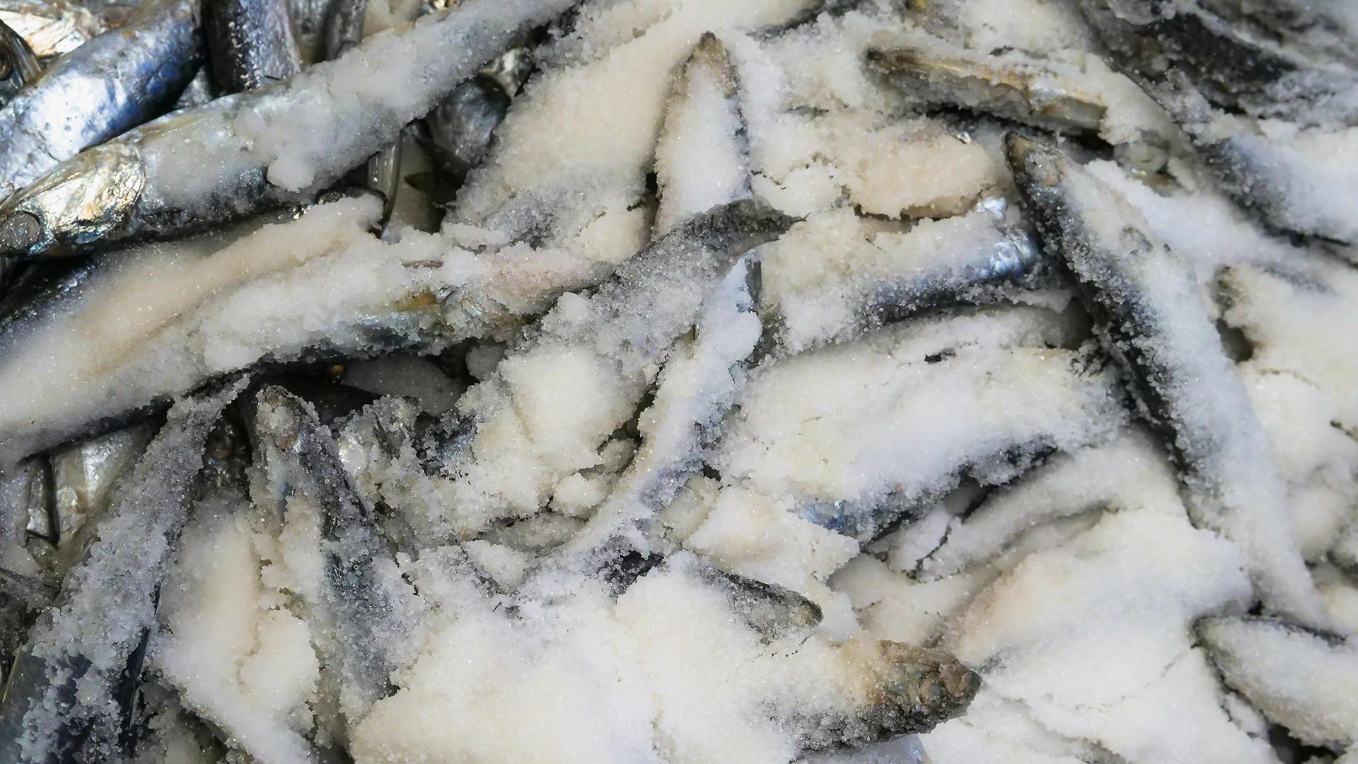 Фото: pexels.com