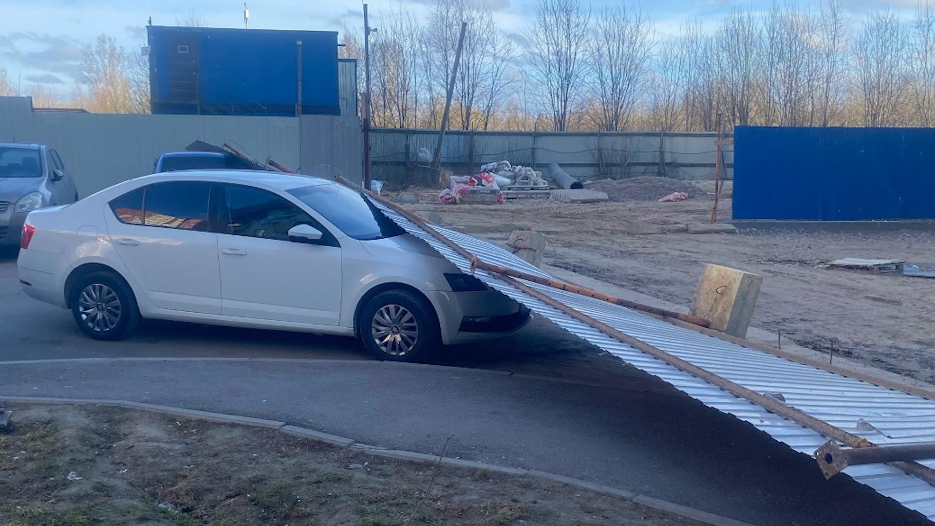 Фото: vk.com drozdenko_au