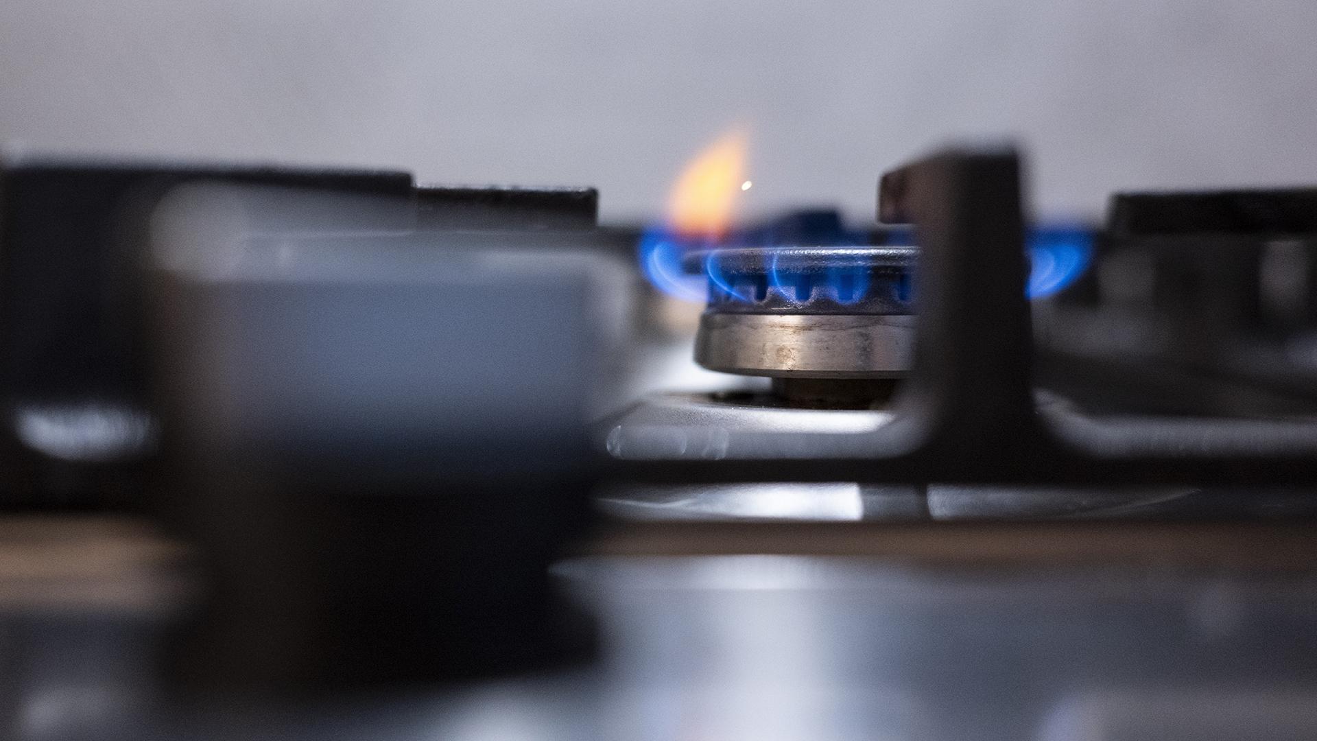 Фото: Marijan Murat globallookpress.com