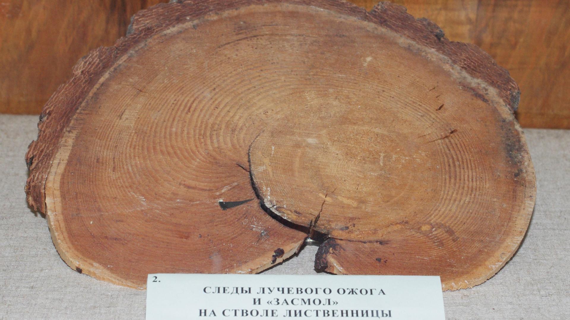 Фото: wikimedia.org Artem Svetlov; CC BY 4.0