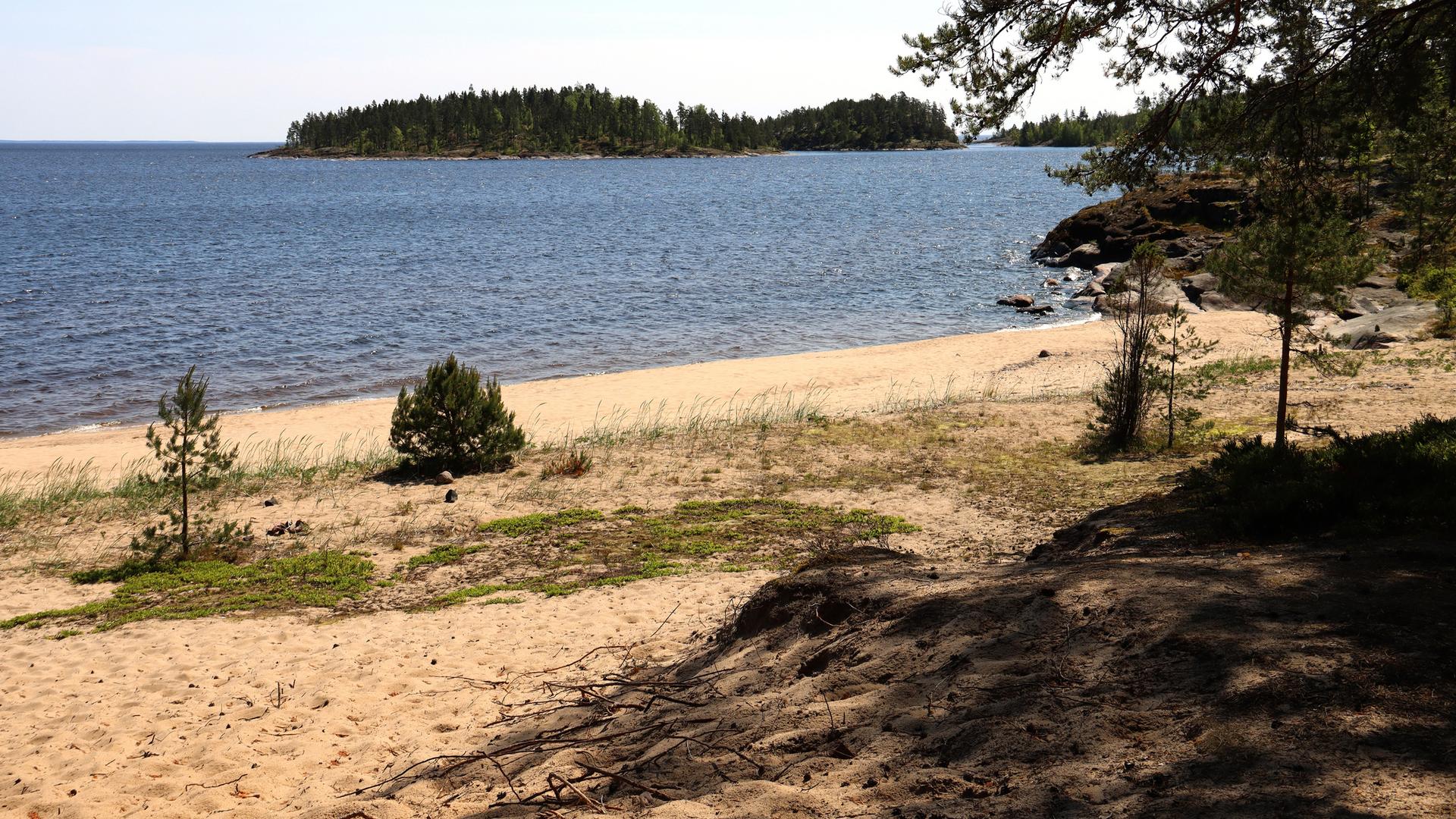 Фото: vk.ru ladoga_skerry