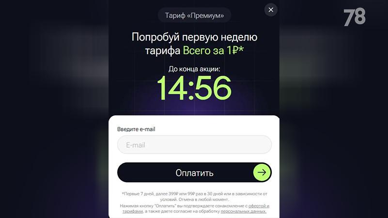 Фото: 78.ru