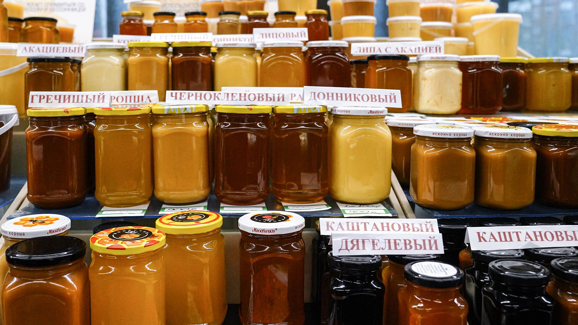 Фото: ИЗВЕСТИЯ Анна Селина